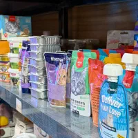 پودینگ ،پوچ،بستنی