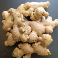پخش زنجبیل  تازه کافه ها(امروز جمعه بازبین یکسره)