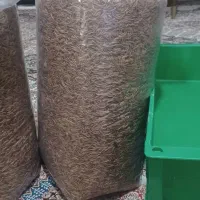 فروش کرم میلورم به صورت خشک و زنده