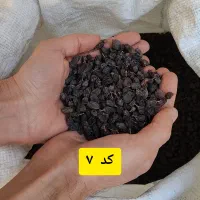 پخش کشمش|خوردنی و آشامیدنی|تبریز, |دیوار