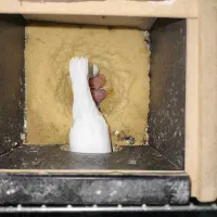 جفت نرگسی مولد با جوجه