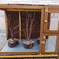 قفس چوبی زیبا