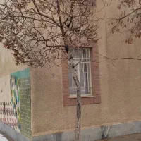 واحد مناسب سر مایه گذاری