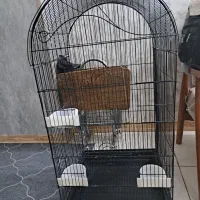 قفس|لوازم جانبی حیوانات|بهارستان, |دیوار