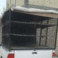 قفس پرنده و مرغ