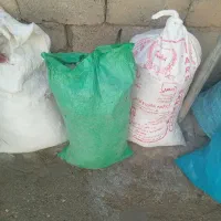زیل کبوتر حدود ۱۰۰ کیلو