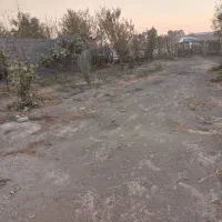 زمین کشاورزی|فروش دفتر صنعتی، کشاورزی، تجاری|ری, فیروزآباد|دیوار