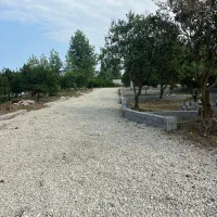 سند تک برگ کامل داخل بافت دور دیوار