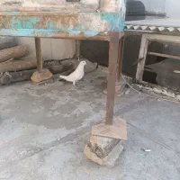 با سلام خدمت دوستان|پرنده|اصفهان, محمودیه|دیوار