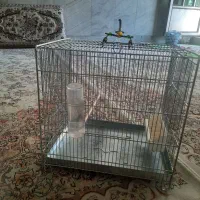 قفس پرنده آرمان
