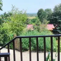 اجاره ویلا سوئیسی جنگلی استخر دار ویو جنگل 059|اجارهٔ کوتاه‌مدت ویلا و باغ|شفت, |دیوار