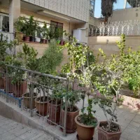 باغ زیار185متر/تکواحدی/زیرقیمت/فروش فوری/دوکله نور|فروش آپارتمان|اصفهان, باغ زیار|دیوار