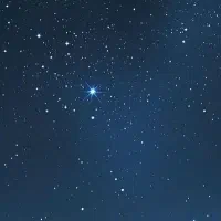 گمشده سگ پشمالو