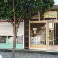 مغازه|فروش مغازه و غرفه|گنبد کاووس, |دیوار