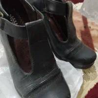 کفش زنانه|کیف، کفش، کمربند|هرسین, |دیوار