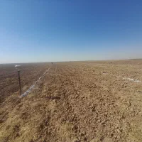 نقشه برداری باغات و زمین