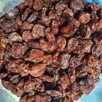 آلوچه به فروش میرسد|خوردنی و آشامیدنی|مرند, |دیوار