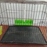 در لوازم جانبی حیوانات