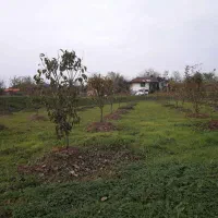 زمین-باغی-واقع-در-روستای-سیدمیران