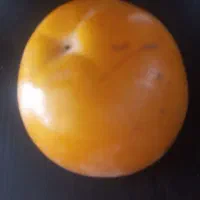 خرمالو ژاپنی|خوردنی و آشامیدنی|آذرشهر, |دیوار