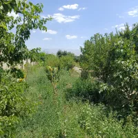 فروش-فوری-آب-کشاورزی-از-چاه-عمیق-دوسنگ
