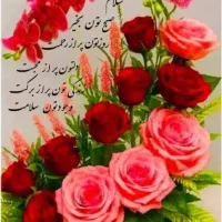 گواهینامه گم کرده ام