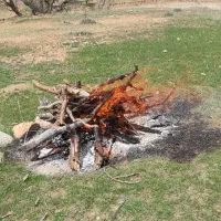 کار کشاورزی و باغداری