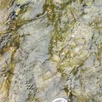 راهنمایی لطفاً