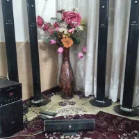 سینما خانواده سونیا