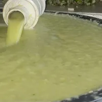 ابلیموگیری  سبحان|خوردنی و آشامیدنی|بندرعباس, |دیوار