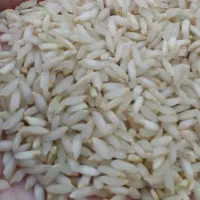 برنج قلق چی|خوردنی و آشامیدنی|دزفول, |دیوار