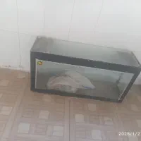 آکواریوم قیمت مناسب