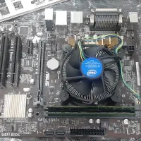 مادربرد ایسوس به همراه سی پی یو و رم H81M-V3|قطعات و لوازم جانبی رایانه|تهران, هفت چنار|دیوار