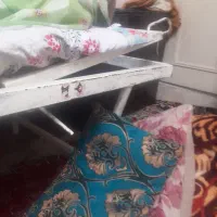 باندتخت بوق بنزی