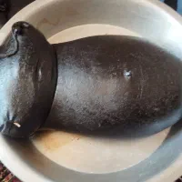 روغن‌حیوانی‌گاوی