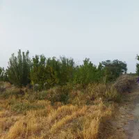 فروش باغ|فروش زمین و ملک کلنگی|مشهد, اسماعیل آباد|دیوار