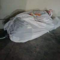 چهار عدد‌تشک چند عدد بالش در حد نوفروشی