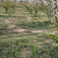 فروش باغ‌در‌اهر7000متر