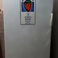 فریزر پارس برفکی