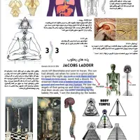 انواع کتب ممنوعه و کمیاب|کتاب و مجله تاریخی|فولادشهر, C4|دیوار