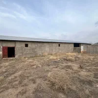 فروش قلعه دامداری|فروش دفتر صنعتی، کشاورزی، تجاری|سلفچگان, |دیوار