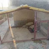 قفس پرنده