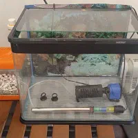 آکواریوم ماهیران شیشه خم با کل وسائل|ماهی|تهران, هروی|دیوار