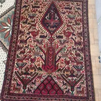 قالی دستبافت زمینی کارکرده|فرش|رفسنجان, |دیوار