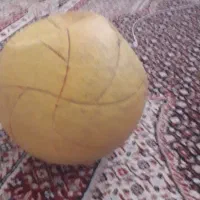 تیرله توپ