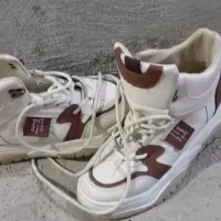 کفش|کیف، کفش، کمربند|بندر گناوه, |دیوار