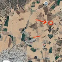 فروش باغ|فروش دفتر صنعتی، کشاورزی، تجاری|مریوان, |دیوار