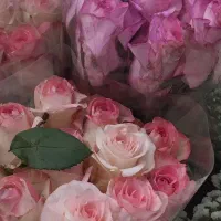 اشتراک فضای انجمنی و آموزشی در اردبیل