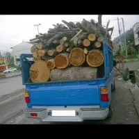 چوب بری و قطع درختان|خدمات باغبانی و درختکاری|اصفهان, شهرک آزمایش|دیوار