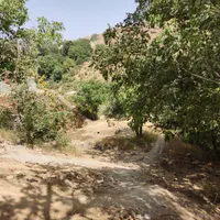 237-متر-زمین-دارای-بنا-قدیمی-ارنگه